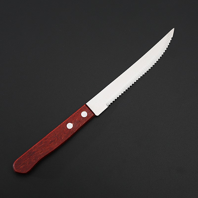 1-20 buah pisau Steak besi tah - Commercial Kitchen Knives ulasan dan harga
